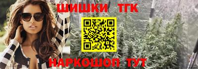 индика Можга