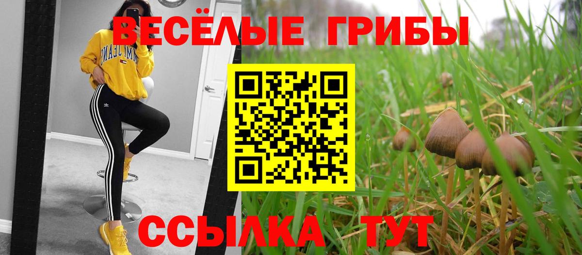 магазин  наркотиков  Вход с VPN  Галлюциногенные грибы Cubensis  Топки  Псилоцибиновые грибы мицелий 